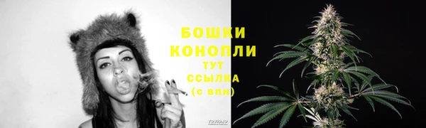 стаф Волоколамск